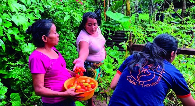 GUATE HUERTOS TRASPATIO.jpg